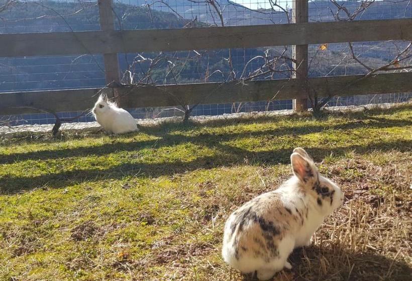 酒店 Appartamenti Camere Masi Brenta