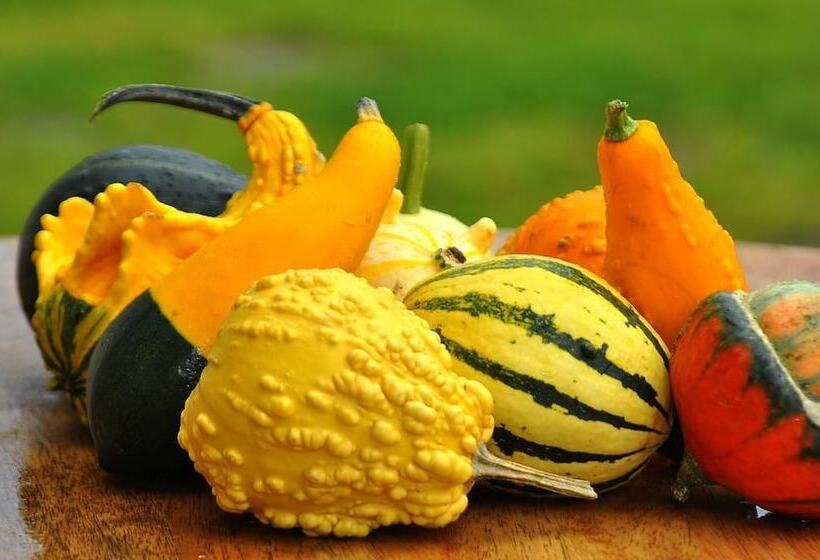 酒店 Santa Barbara