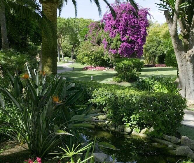 Hotel The Oasis By Don Carlos Resort