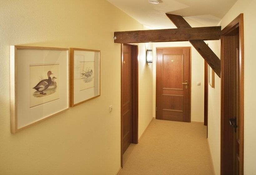 فندق Zum Hauenden Schwein