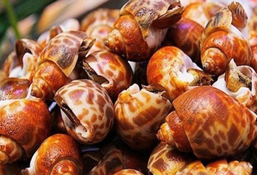 בית מלון כפרי Eurasia International