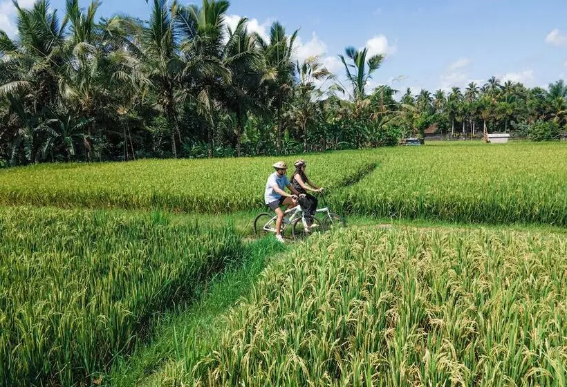 Uma Linggah Resort By Puri Signatures