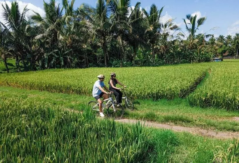 Uma Linggah Resort By Puri Signatures