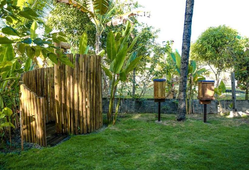 ホテル Cais Dourado Pousada