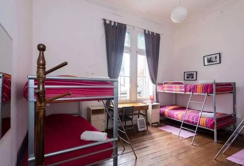 هتل Casa Volante Hostal