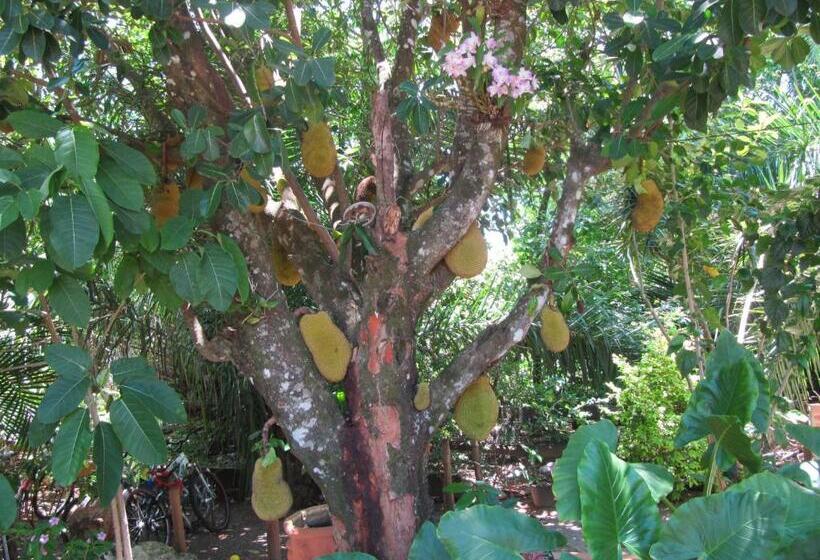 Hotel Eco Pousada Villa Verde