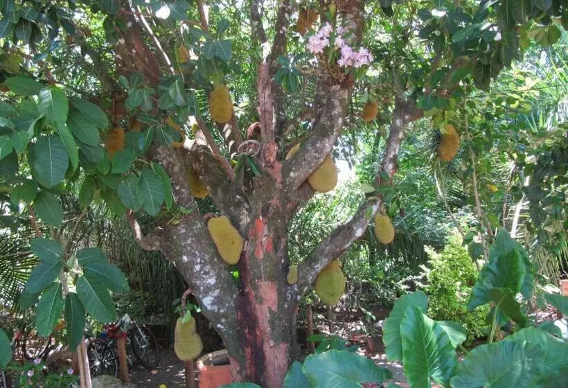 هتل Eco Pousada Villa Verde