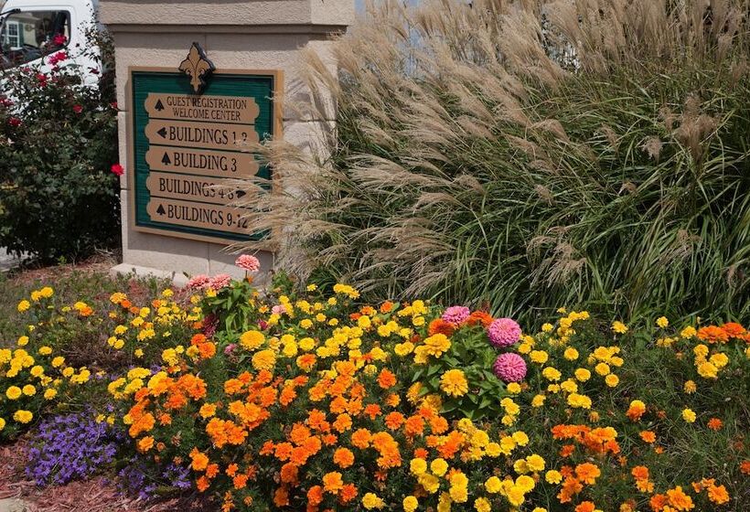 호텔 French Quarter Resort