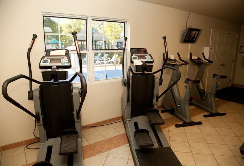 호텔 French Quarter Resort