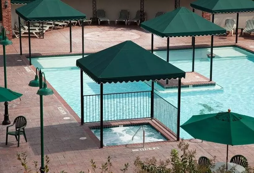 هتل French Quarter Resort