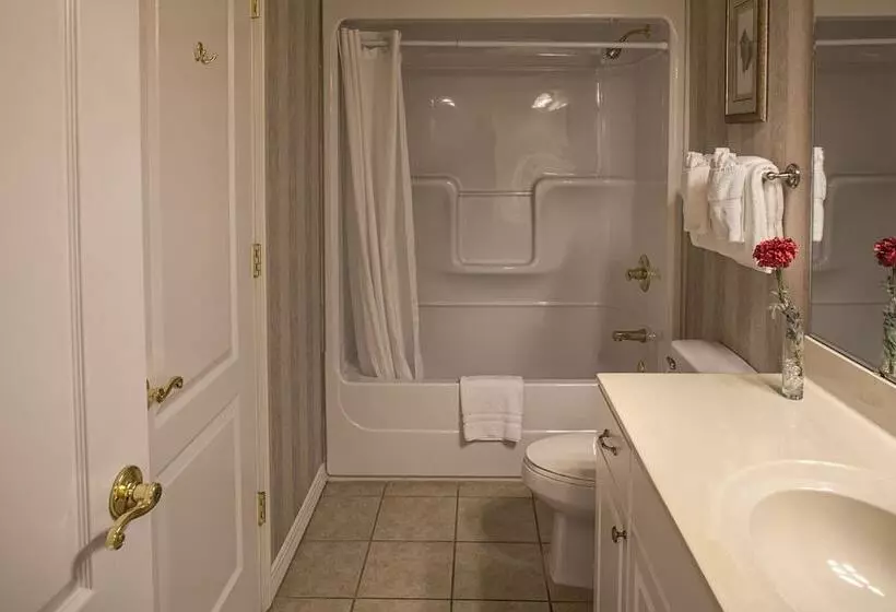 هتل French Quarter Resort