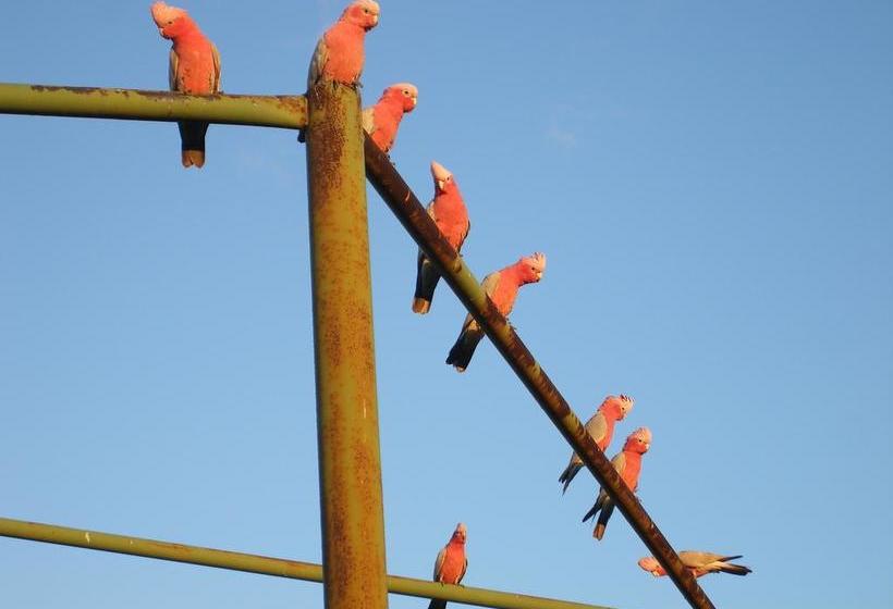 فندق Ningaloo Bed And Breakfast