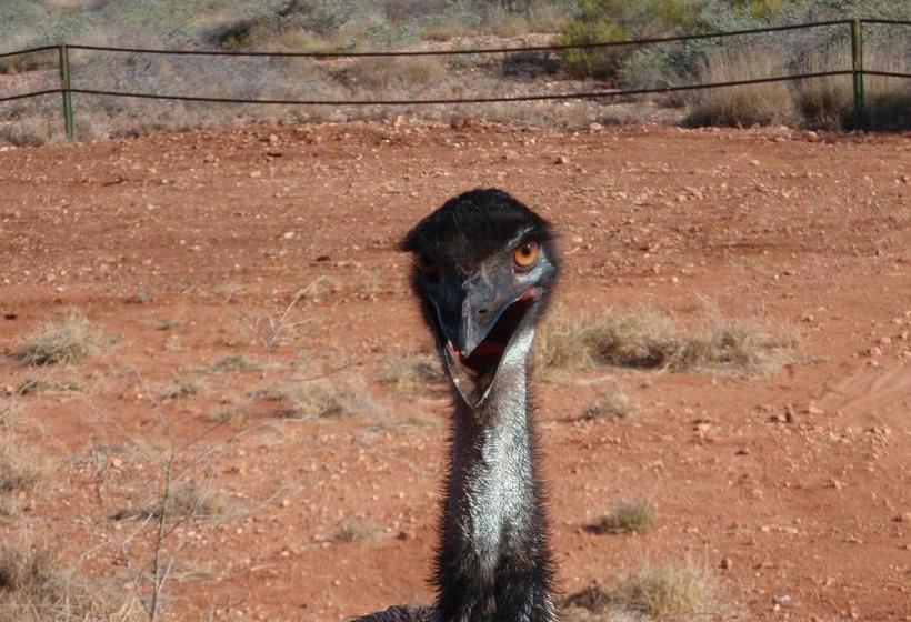 فندق Ningaloo Bed And Breakfast