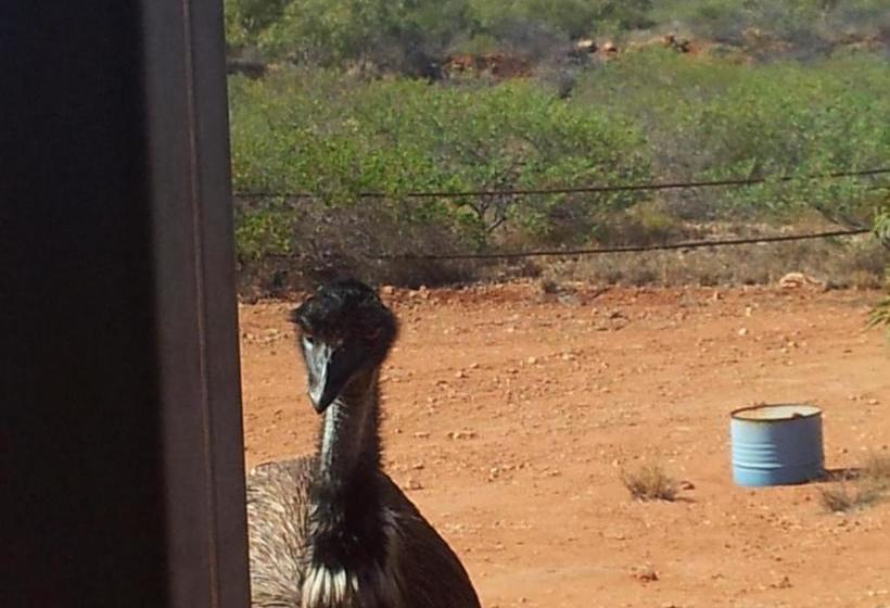 فندق Ningaloo Bed And Breakfast