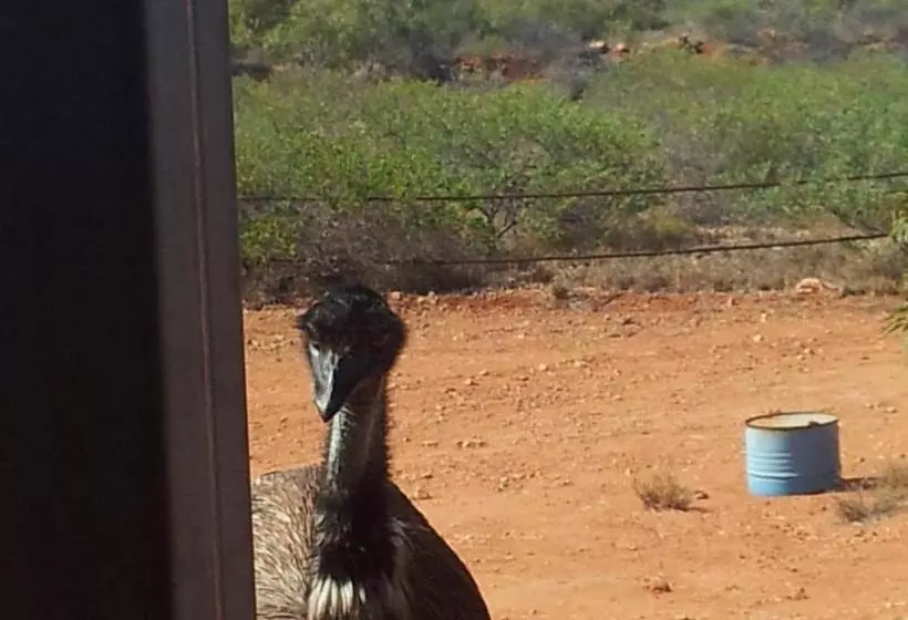 ホテル Ningaloo Bed And Breakfast
