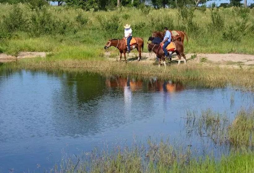 ホテル Pantanal Ranch Meia Lua