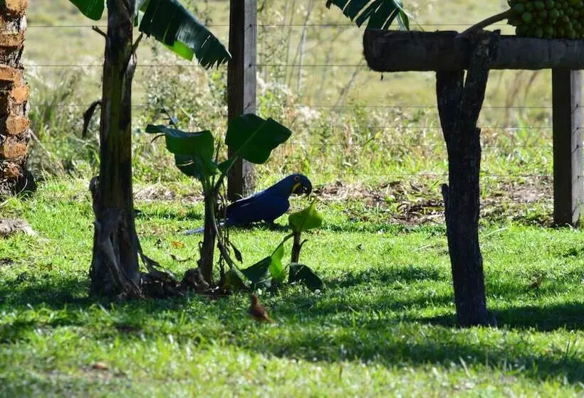 ホテル Pantanal Ranch Meia Lua