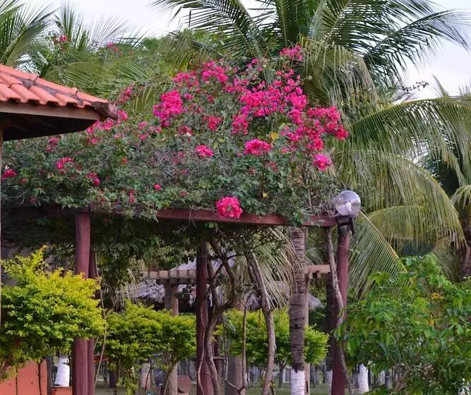 ホテル Pantanal Ranch Meia Lua