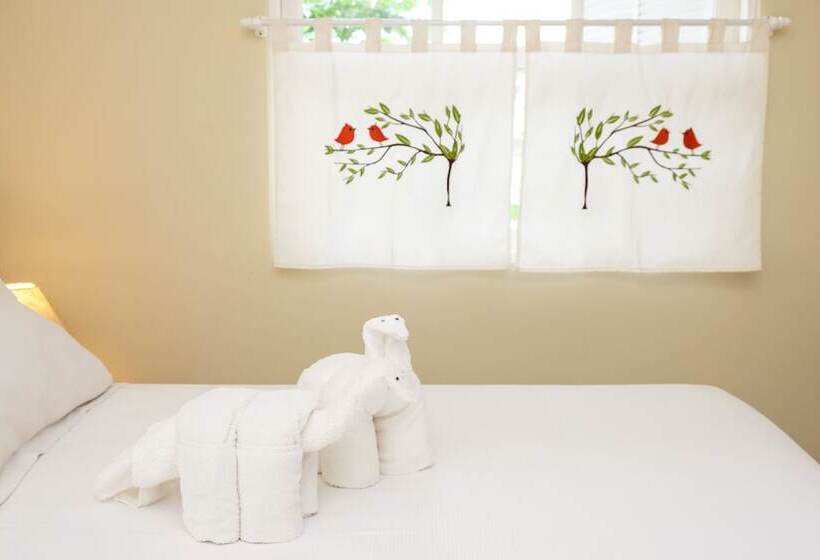 호텔 Pousada Don Diego