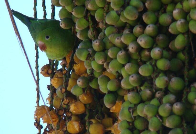 Отель Velinn Pousada Highland