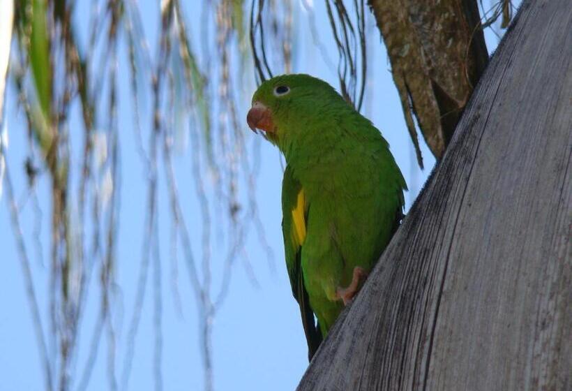 Отель Velinn Pousada Highland