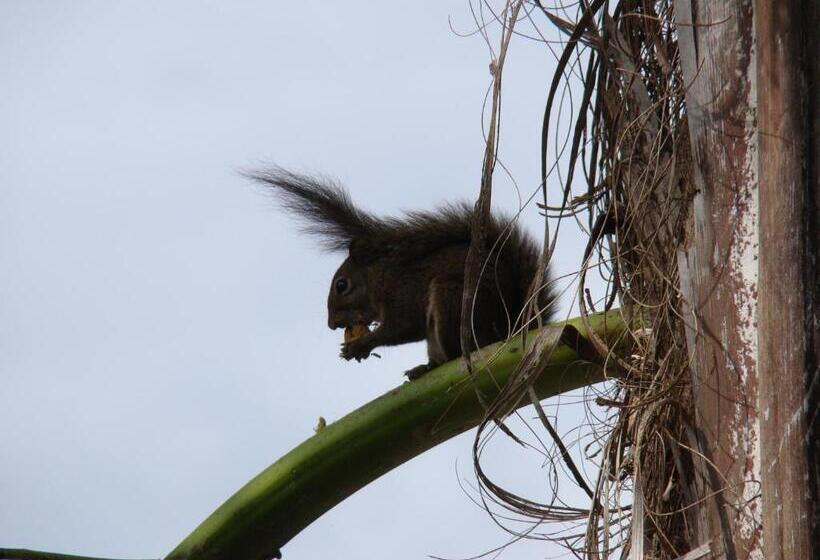 Отель Velinn Pousada Highland