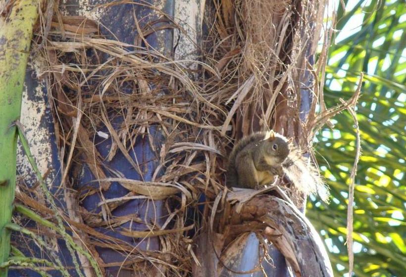 Отель Velinn Pousada Highland