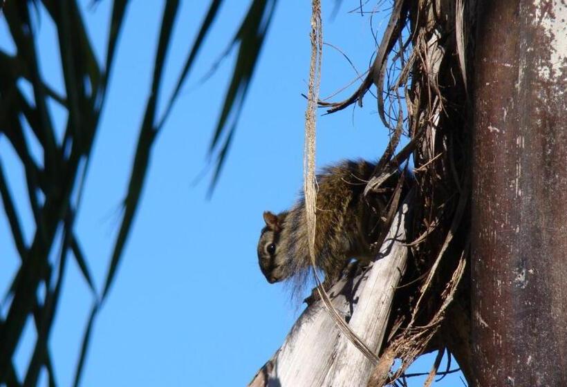 Отель Velinn Pousada Highland