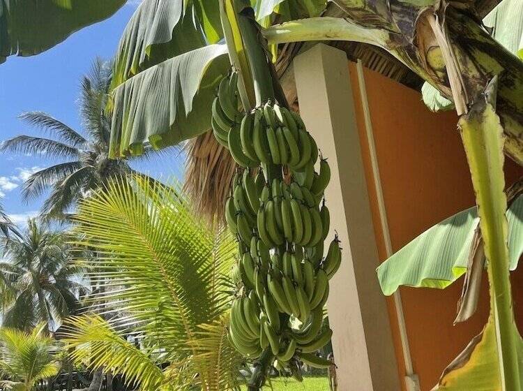 هتل Sambo Mambo Beach