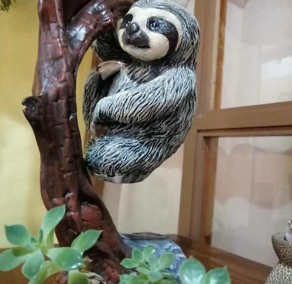 فندق فئة نجمة واحدة Santa Fe B&b