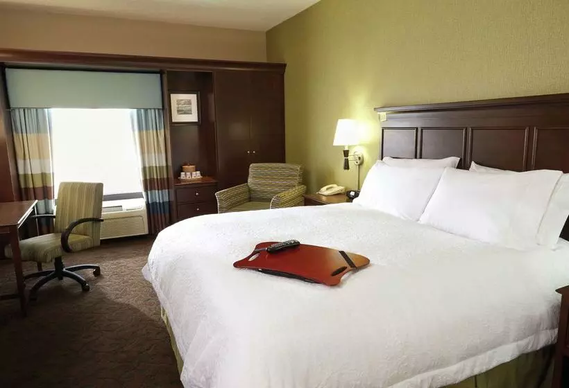ホテル Hampton Inn & Suites Whitefish
