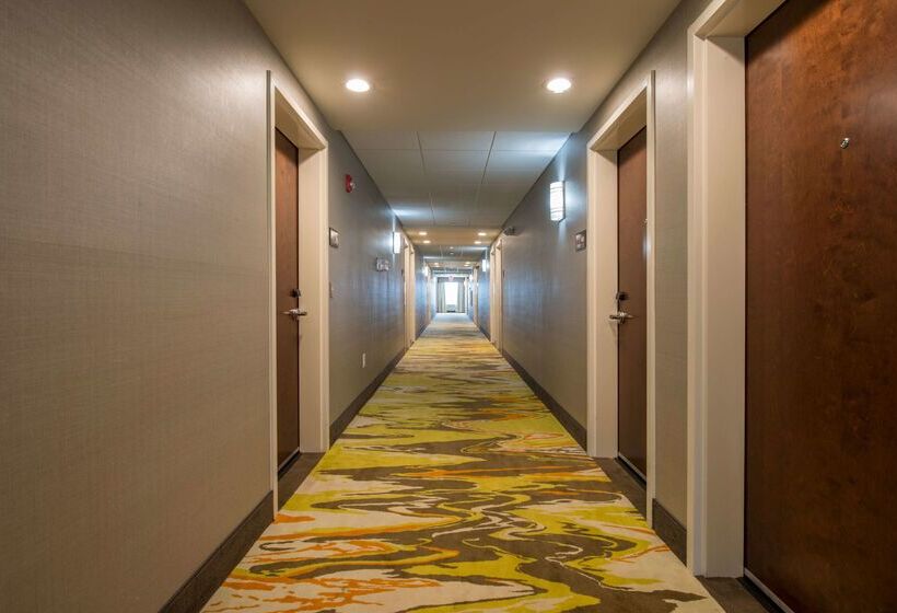 فندق Hampton Inn Waynesboro