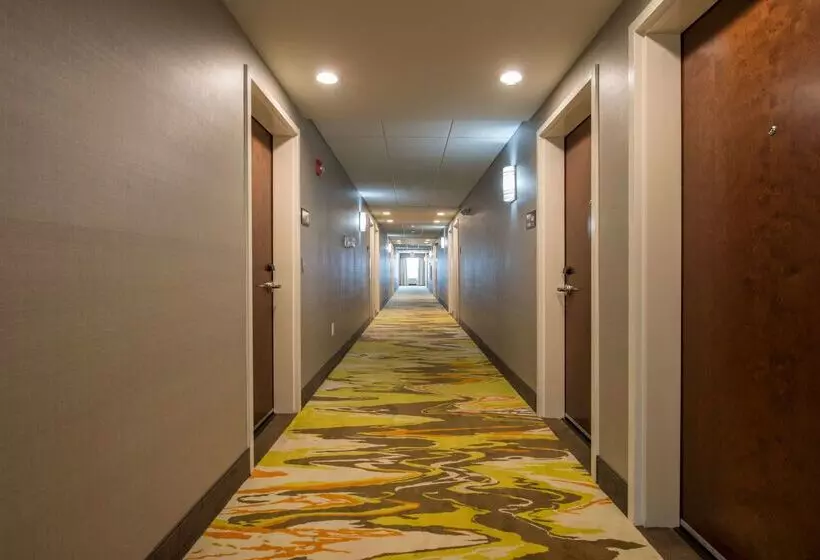 Hotelli Hampton Inn Waynesboro
