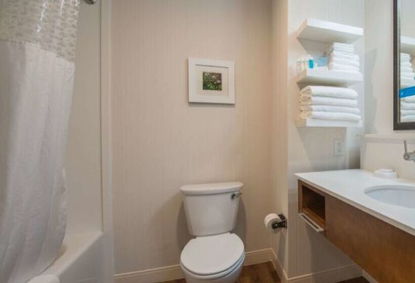 فندق Hampton Inn Waynesboro