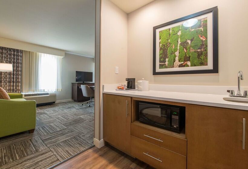 فندق Hampton Inn Waynesboro