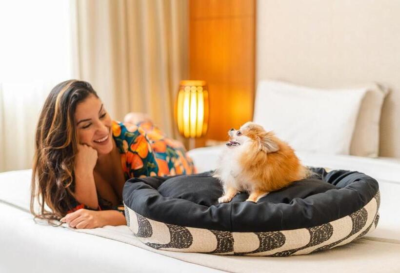 호텔 Matiz Niteroi Design