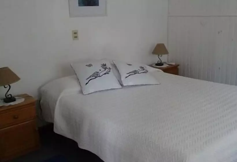 هتل Posada De La Flor