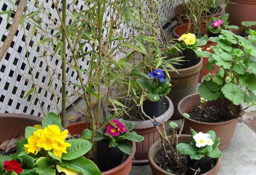 هتل Posada De La Flor