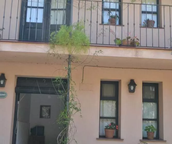 هتل Posada De La Flor