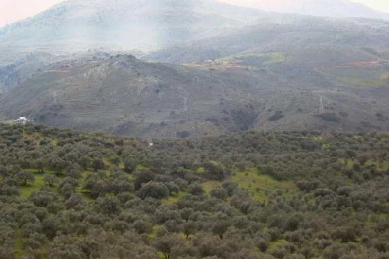 Отель Profilio Apartments