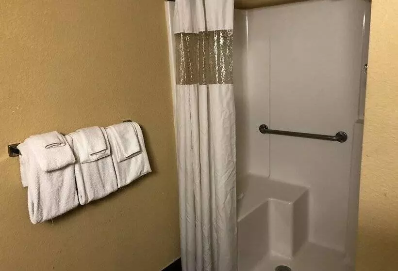 ホテル Rodeway Inn Joint Base Andrews Area