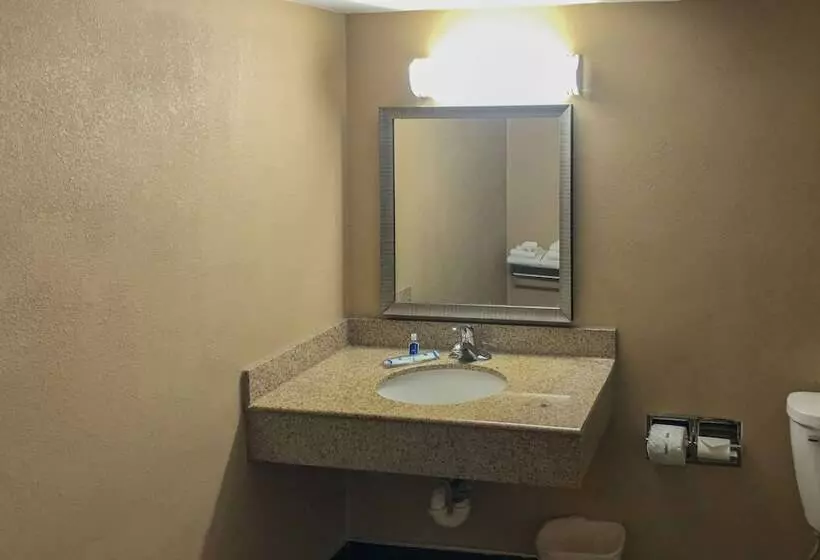 ホテル Rodeway Inn Joint Base Andrews Area