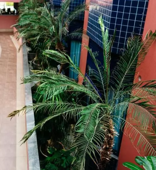 هتل Santamaria