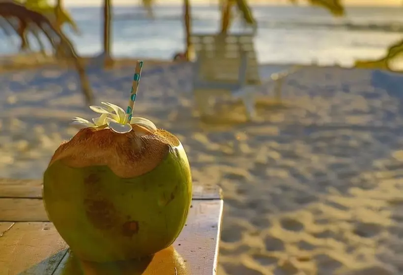 هتل White Sands Beach Resort Tonga