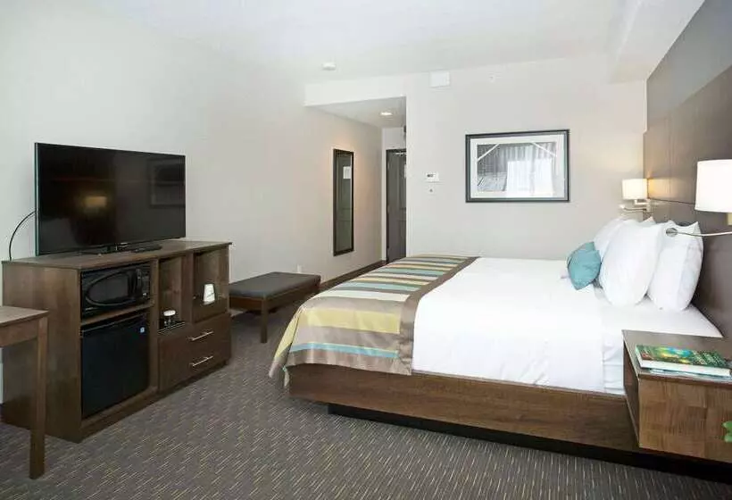 ホテル Wingate By Wyndham Calgary Airport