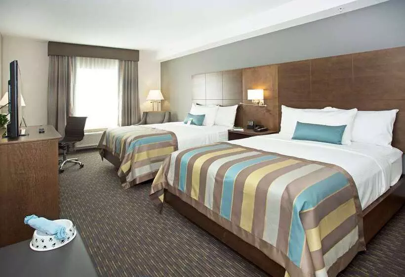ホテル Wingate By Wyndham Calgary Airport