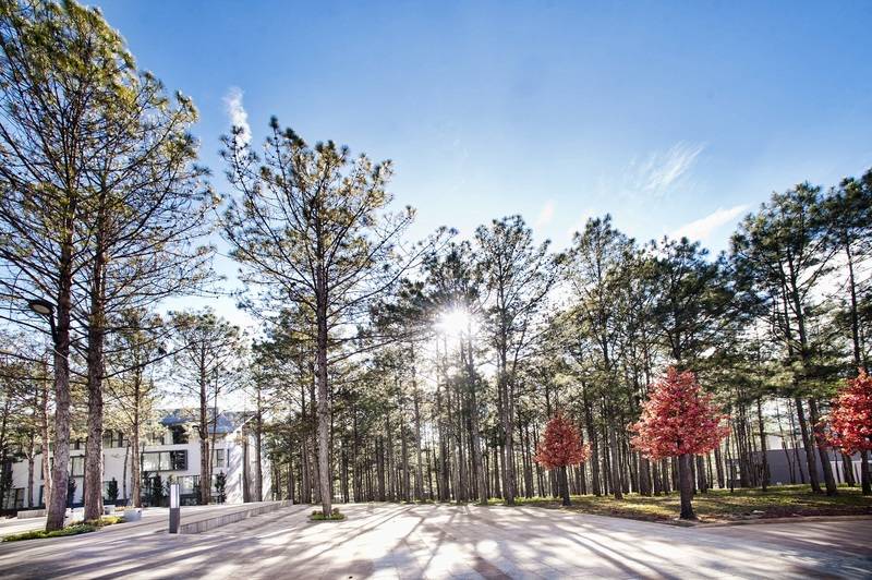 Terracotta Hotel & Resort Dalat