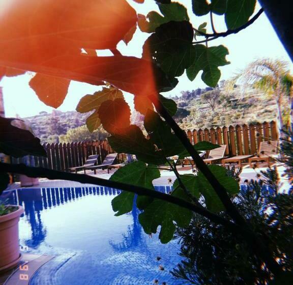 مبيت وإفطار Castello