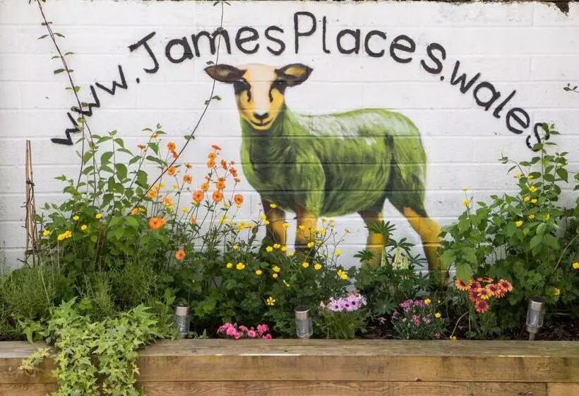 تختخواب و صبحانه James  Place At Brynawel