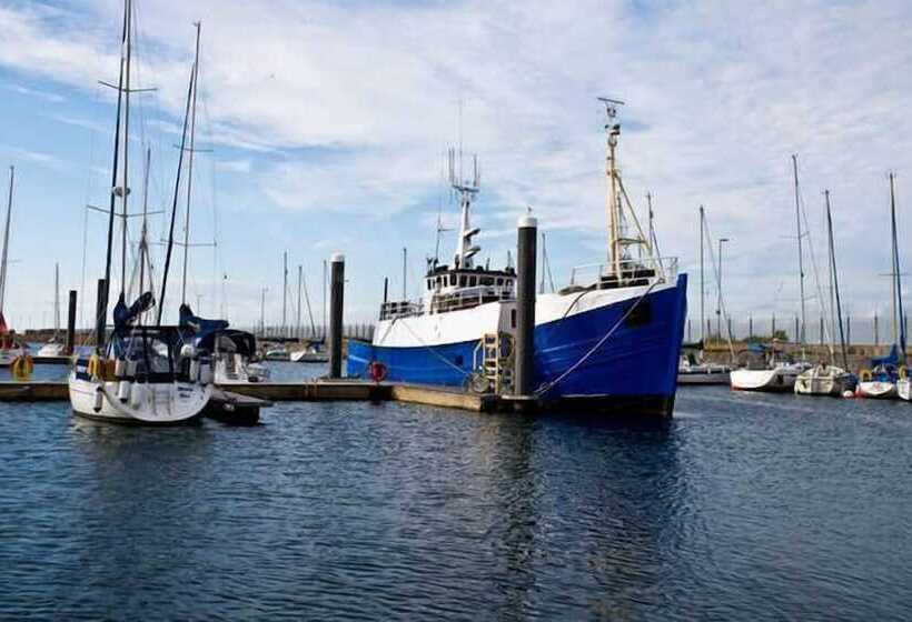 مبيت وإفطار Mv Reliant